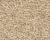 Sesame Seed Natural